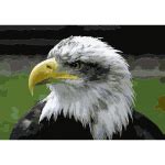 Chromatic Texture Tribal Eagle | Free SVG