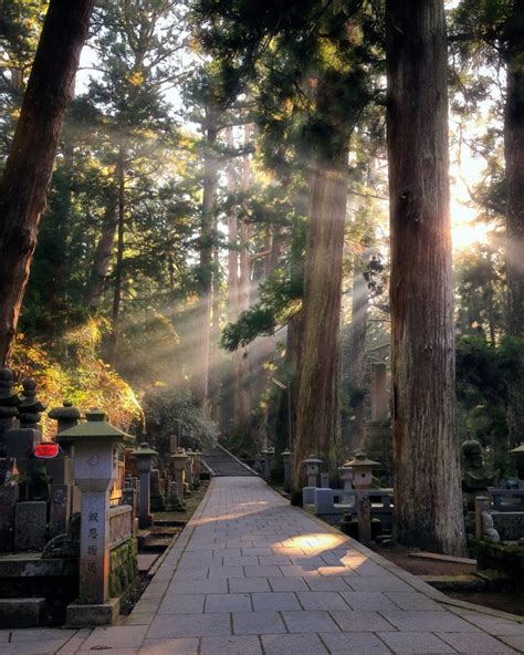 POV: A Tranquil Night - Mount Koya Temple Stay - Zen & Zest