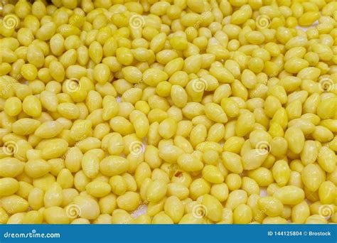 Ginkgo Seeds Background for Vegetable Salad Stock Photo - Image of ...