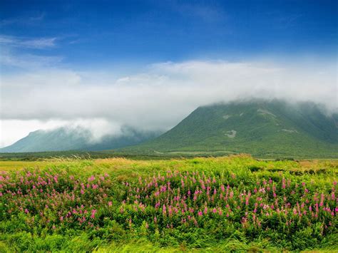 Climate & Weather - Newfoundland and Labrador, Canada