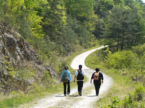 Jirisan Forest Trails -Jeollabuk-do | This Is Korea Tours