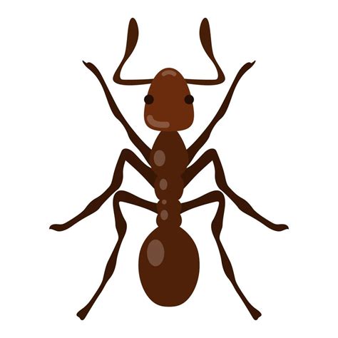 Ant illustration with Dorsal View. 6726109 Vector Art at Vecteezy