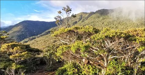 Mount Hamiguitan Range Wildlife Sanctuary - Discover The Philippines