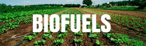 Biofuel: Types, Uses & Examples – StudiousGuy