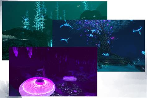 Subnautica: Where Are Each Biome Located? - Mae Polzine