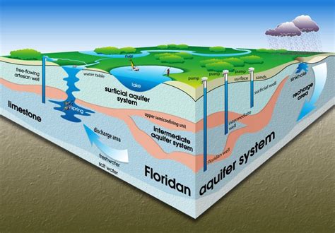 Floridan #Aquifer Diagram, North Florida. www.GainesvilleFloridaHomes.com | Maps, Charts ...