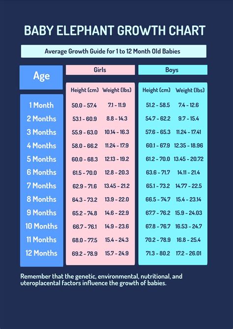 Baby Elephant Growth Chart in PDF, Illustrator - Download | Template.net