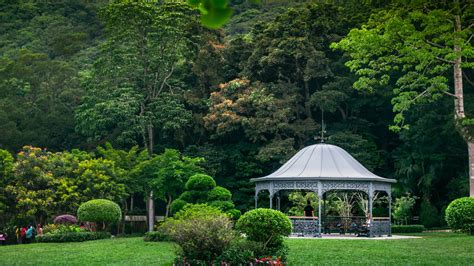 Victoria Peak Garden Walk | Fasci Garden