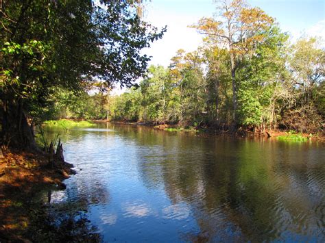 Withlacoochee River | Withlacoochee River Park Pasco County,… | B A Bowen Photography | Flickr