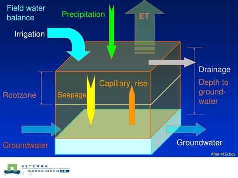 PPT - CROP IRRIGATION WATER REQUIREMENTS PowerPoint Presentation, free ...