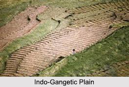 Indo-Gangetic Plain