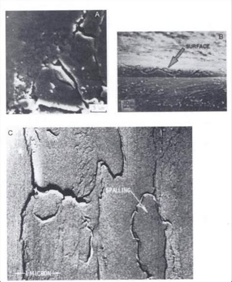 7: Examples of surface fatigue wear in metals as a result of sliding ...