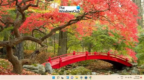 Best Free Windows 11 Themes from Microsoft Store