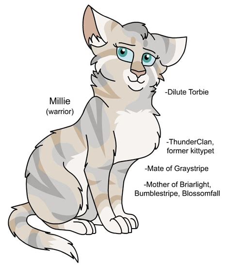 Warriors Design: Millie (2022) by theDawnmist on DeviantArt