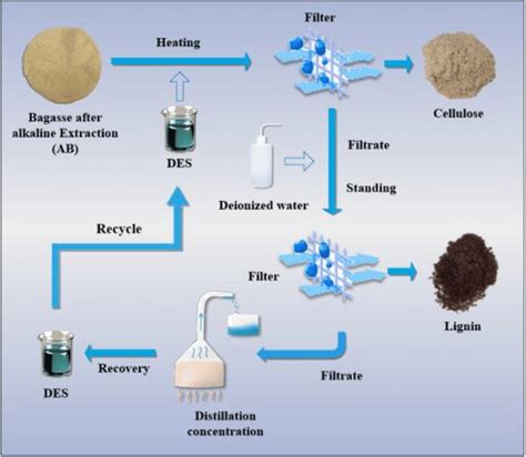 Flowchart of deep eutectic solvent (DES) separation of lignin and ...