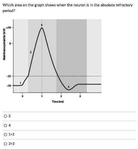 which area on the graph shows when the neuron is in the absolute refractory period 1 tmand 23 46325