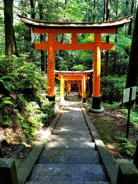 76 best Fushimi Inari Shrine images on Pholder | Japanpics, Pics and Travel