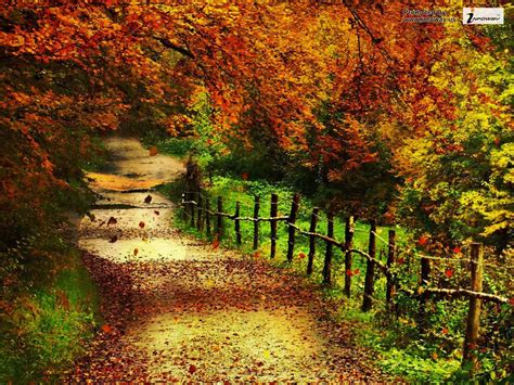 🔥 [36+] Wallpapers Autumn Scenery | WallpaperSafari