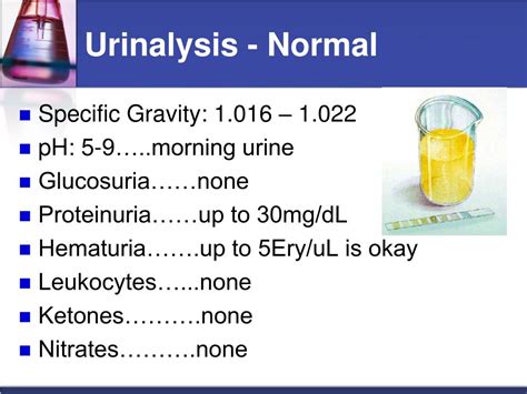 Urinalysis Glucose Normal Range at Brittney Jowers blog