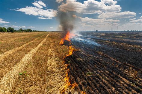 Farming and ESG. Part 1 - Stubble Burning - HSAT