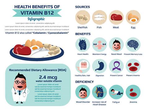 Sources Of Vitamin B12 & Why Should Add Them To Your Diet | Femina.in