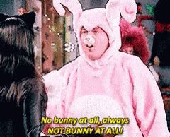 Chandler Bunny GIF - Chandler Bunny - Discover & Share GIFs