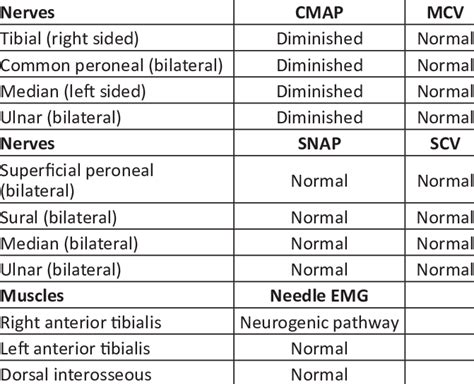 Electromyographic results in our patient | Download Scientific Diagram