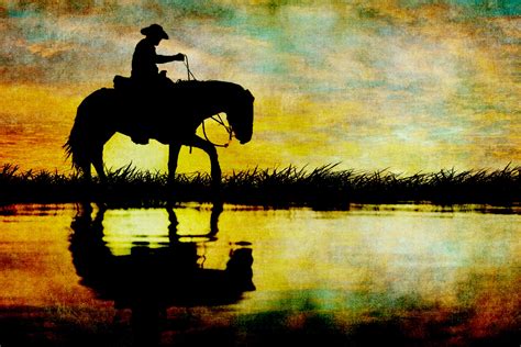 Horse Silhouette Sunset Free Stock Photo - Public Domain Pictures