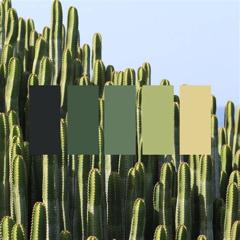 Green Desert Color Trends | Desert colors, Jewel tone color palette, Desert color palette