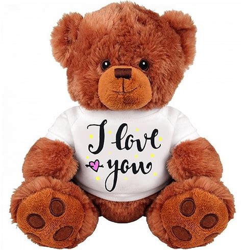 Amazon.com: Teddy Bear Couple Gift: Funny 13 Inch Teddy Bear Stuffed ...