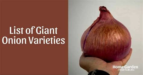 7 Epic Giant Onion Varieties - Grow To Wow! - Home Garden Vegetables