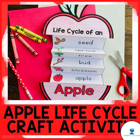 Apple Life Cycle Life Cycle of an Apple All About Apples Printable Craft Acitvity - Etsy