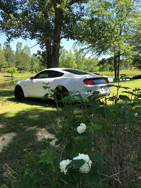 My new, 2017 GT with performance package :D : r/Mustang