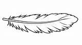 Feather Outline Drawing Stock Illustrations – 36551  sketch template