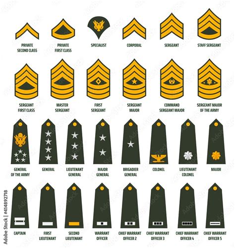 US army enlisted ranks chevrons and insignia. America military service soldiers, officers and ...