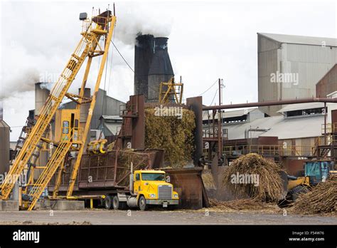 Sugarcane production factory St Mary Sugar Cooperative Sugar Mill processing raw sugar at ...