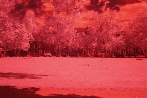 Infrared Photography With Filter on DSLR – Photography Skool