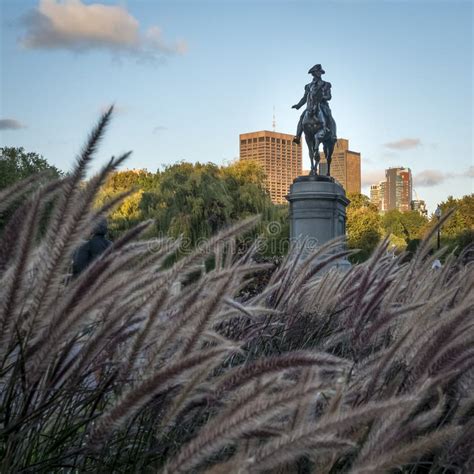 Boston Public Garden stock photo. Image of plant, sightseeing - 101908264