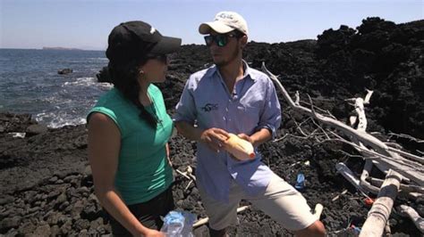 Video Conservation front and center as tourism booms in the Galapagos Islands - ABC News