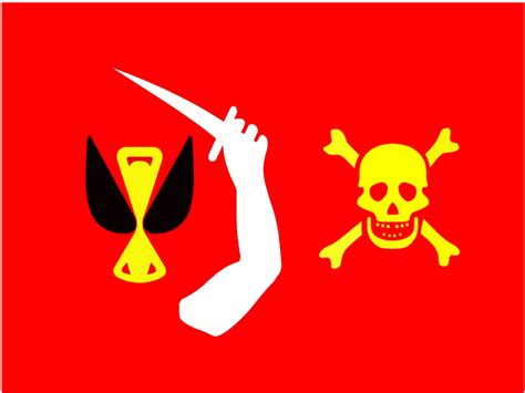 Christopher Moody | Drapeau jolly roger, Drapeau pirate, Tête de mort