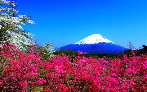 Spring Japan Wallpapers - Wallpaper Cave