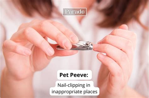 Pet Peeve Examples Funny | atelier-yuwa.ciao.jp