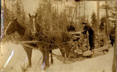 Lumbering Photos - Patten Lumbermen's Museum