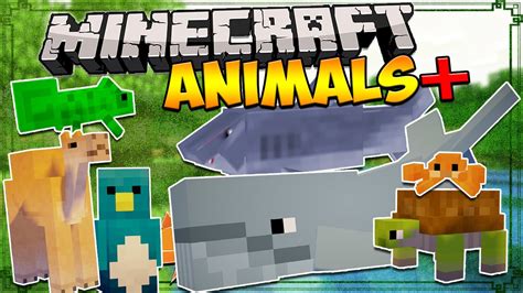 Minecraft Mods: ANIMALS+ MOD - Sharks, Whales, Lizards, and MORE! (Minecraft Mod Showcase) - YouTube