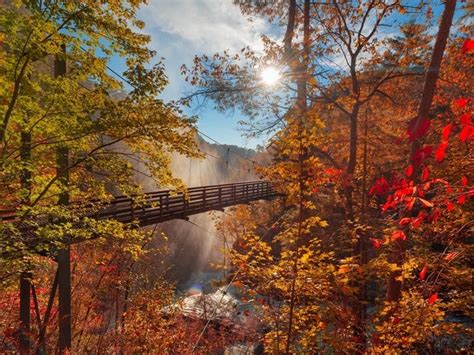 2021 Fall Foliage Peak Map: When Leaves Are Best In East Cobb | East ...