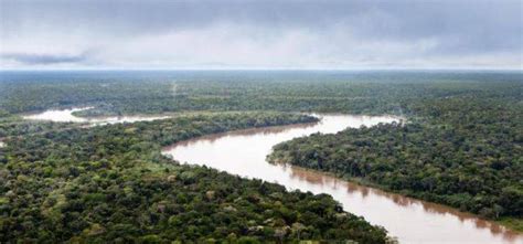 Amazonian River: History, Origin, Characteristics, Depth and Much More