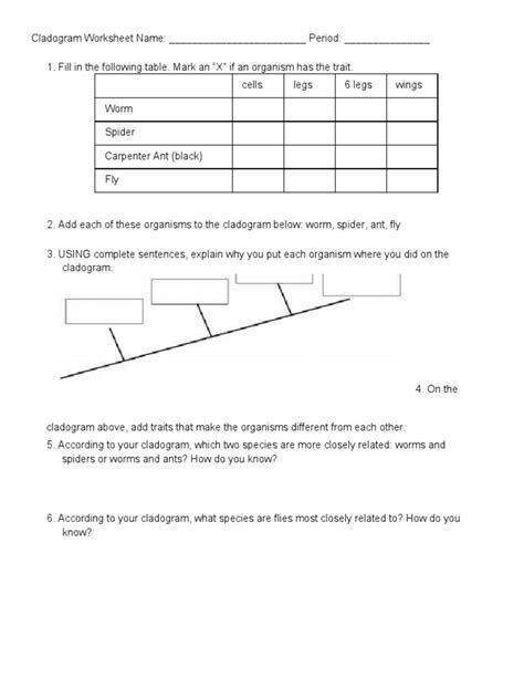 Cladogram Worksheet3 | PDF - Worksheets Library