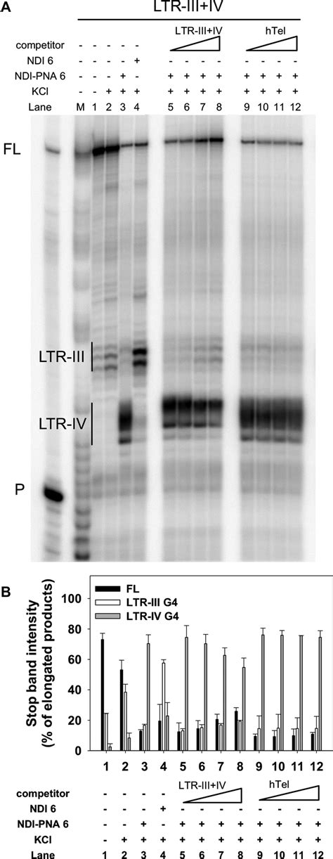 Competition Taq polymerase stop assay. (A) LTR-III+IV template was ...