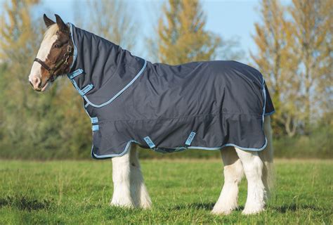 CLOSEOUT Amigo Bravo 12 XL Plus Heavy Horse Turnout Blanket | eBay