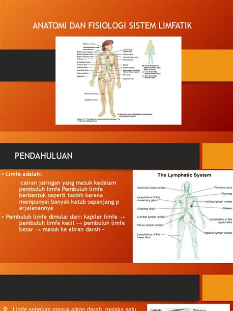 ANATOMI DAN FISIOLOGI SISTEM LIMFATIK.pptx